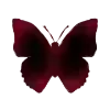 🦋