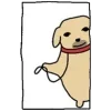 🐶