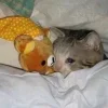 😴
