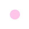🟣