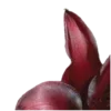 🌺