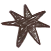🌟