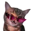 😎