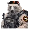 🐻