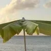 🤩
