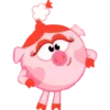 🐽