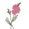 🌸