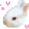 🐰