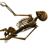 🦴