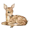 🦌