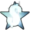 🌟
