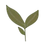 🍀
