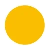 🟠