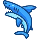 🦈