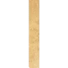 📜