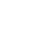 🐋