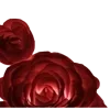 🩸