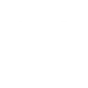 🐻