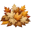 🍂