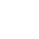 🐗