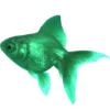 🐠