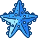 🌟