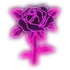 🌹