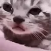 😭