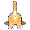 🐱