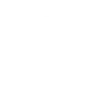 🐃