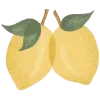 🍋
