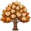 🍂