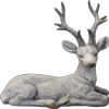 🦌