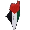 🇵🇸