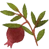 🍎