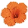 🌺