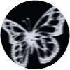 🦋