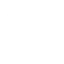 🐘