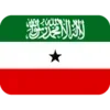 🇸🇴