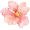 🌷