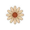 🌼