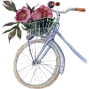 🌺