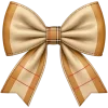 🎀