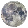 🌕