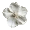 🌸