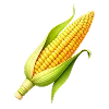 🌽