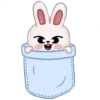 🐰