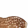 ⭐️