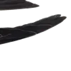 🐦‍⬛
