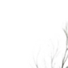 🤍
